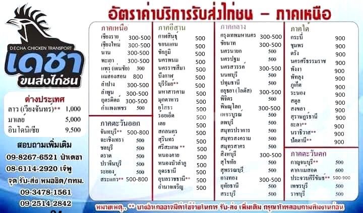 ไก่บราห์มา รูปที่ 5