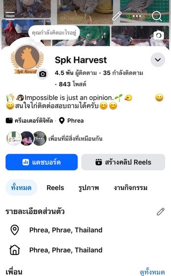 ไก่ไข่โรดไอแลนด์เรด รูปที่ 6