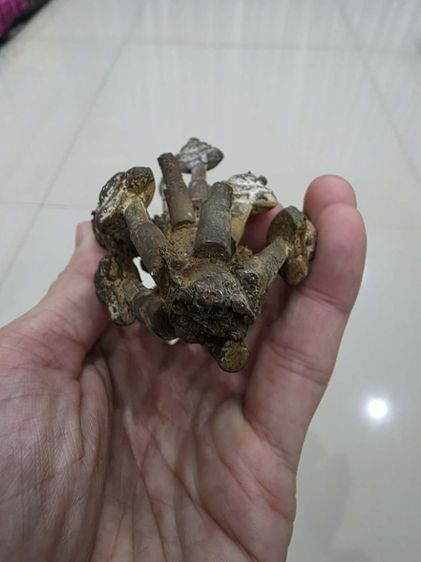 พระเครื่อง เก่าเก็บ สวยหายาก รุ่นเก่า เดิมๆ  ขายตามสภาพ หนักๆ น่าสะสม เป็นช่อ หายาก มากๆครับ พร้อมส่งครับพี่ๆ  รูปที่ 12