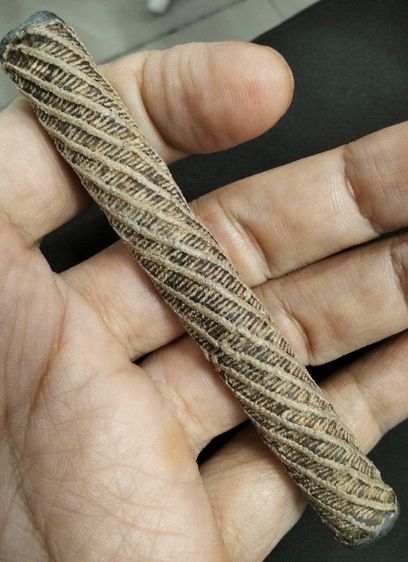 ตะกรุดหลวงปู่ศุข