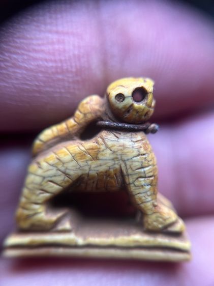 เสือ (มีสินค้าหลายรายการกดเข้ามาดูในโปรไฟล์ได้เลยครับ)