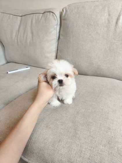 เหลือหญิง1 ชาย3✅ รูปที่ 6