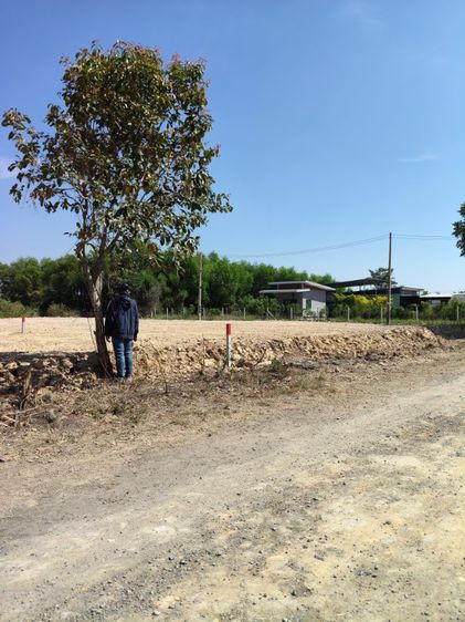 ไม่ใช่ ขายที่ดินนครนายก โฉนดครุฑแดง ถมแล้ว มีน้ำไฟ ถนนดี ใกล้รังสิต 60 กม. เหมาะทำบ้านสวน บรรยากาศดี เริ่มที่ 50 ตรว.  รูปที่ 4