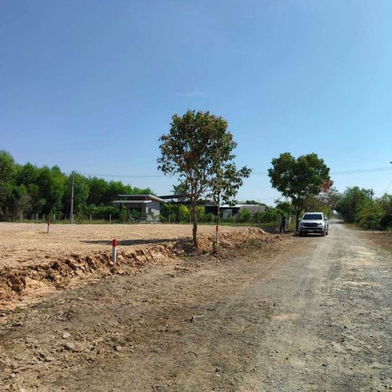 ไม่ใช่ ขายที่ดินนครนายก โฉนดครุฑแดง ถมแล้ว มีน้ำไฟ ถนนดี ใกล้รังสิต 60 กม. เหมาะทำบ้านสวน บรรยากาศดี เริ่มที่ 50 ตรว.  รูปที่ 2