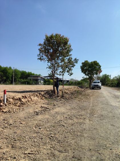 ไม่ใช่ ขายที่ดินนครนายก โฉนดครุฑแดง ถมแล้ว มีน้ำไฟ ถนนดี ใกล้รังสิต 60 กม. เหมาะทำบ้านสวน บรรยากาศดี เริ่มที่ 50 ตรว.  รูปที่ 3