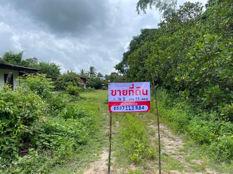 ใช่ ที่ดินเปล่า  รูปที่ 4