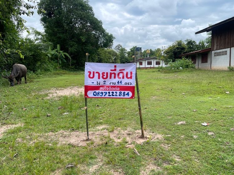 ใช่ ที่ดินเปล่า  รูปที่ 3