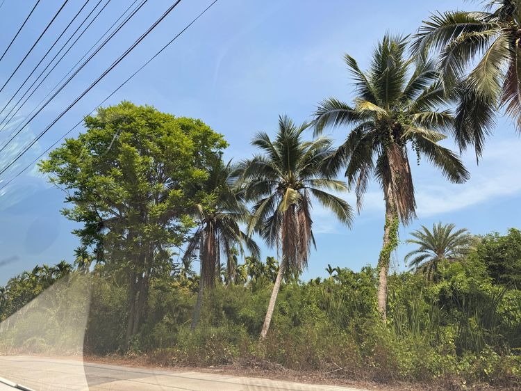 ขายที่ดินทำเลศักยภาพสูง ย่านสามพราน–ศาลายา  –  ห่างโลกว่าจากเซนทรัลศาลายา รูปที่ 4