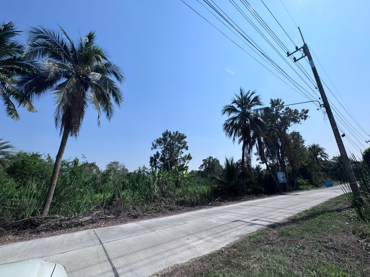 ขายที่ดินทำเลศักยภาพสูง ย่านสามพราน–ศาลายา  –  ห่างโลกว่าจากเซนทรัลศาลายา รูปที่ 2