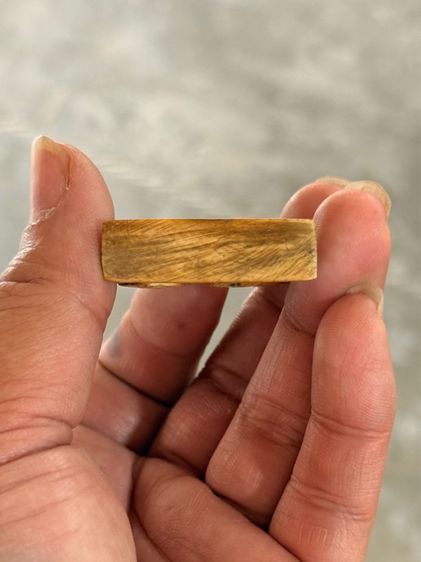 สิงห์หลวงพ่อเดิม รูปที่ 5