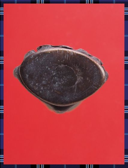 r43-r44.พระกริ่ง องค์ๆละ 419 บ. พร้อมส่ง EMS ค่ะ รูปที่ 7