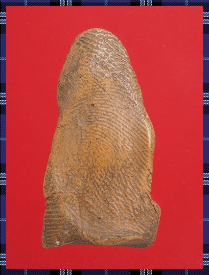 r45-r46.หลวงปู่ทวด-ฤาษี องค์ๆละ 449 บ. พร้อมส่ง EMS ค่ะ รูปที่ 6