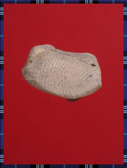 r49-r50.พระรอด-หลวงพ่อเงิน องค์ๆละ 419 บ. พร้อมส่ง EMS ค่ะ รูปที่ 4