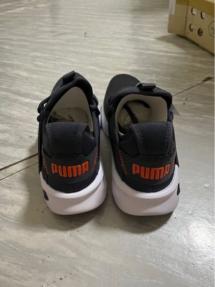 Puma  รูปที่ 2