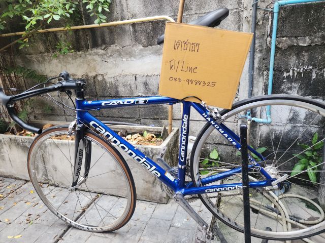 ขายจักรยาน  cannondel  caad 8  made in USA รูปที่ 2
