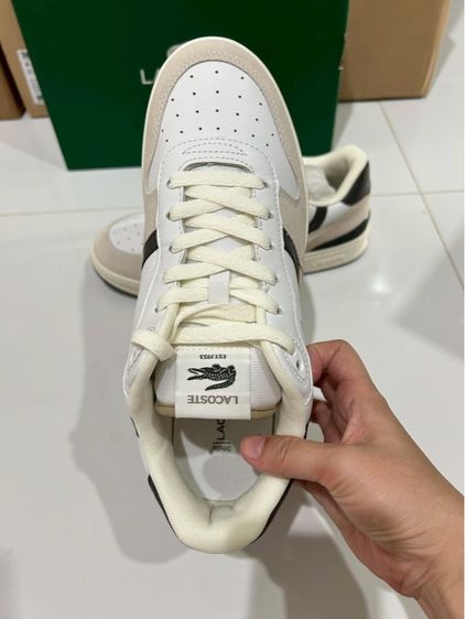 Sale‼️1,390฿  แบรนด์ ลาคอส  ราคาป้าย 3,990฿ …(ส่งฟรี) ‼️ รูปที่ 2