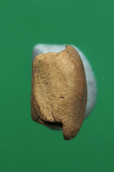 พระรอดค่ะ รูปที่ 5