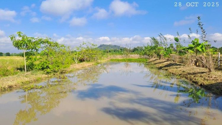 ไม่ใช่ ใกล้วัดพระธาตุดอยน้อย ขายบ่อปลาสวนผสมเจ้าของขายเอง รูปที่ 2