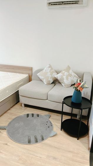 มีบางส่วน Oneder Kaset (วันเดอร์ เกษตร)  รูปที่ 4