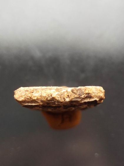 พระสมเด็จ บางขุนพรหม พิมพ์ใหญ่ กรุวัดใหม่อมตรส รูปที่ 2