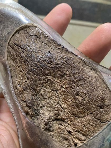 พระเนื้อว่านจำปาสักเนืัอหาเกีามากมีรอยฝนว่านใช้เลี่ยมเปิดหลังเก่าหายาก รูปที่ 3