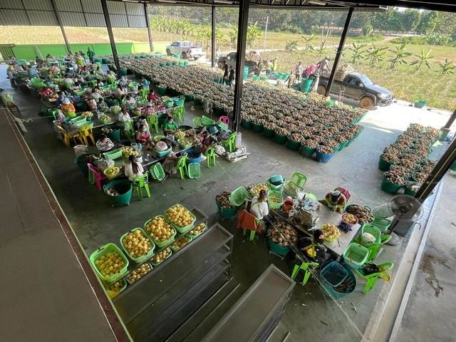 ขายที่ดิน+สิ่งปลูกสร้าง (หรือทำกิจการต่อก็ได้) เอกสารสิทธิ์โฉนด ครุฑแดง ที่ดิน3ไร่ รูปที่ 3