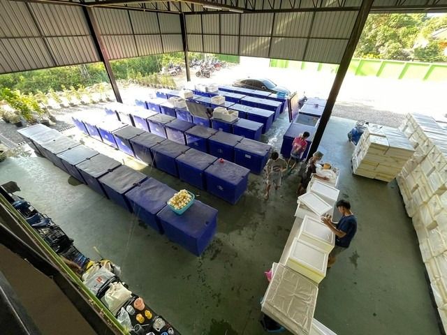 ขายที่ดิน+สิ่งปลูกสร้าง (หรือทำกิจการต่อก็ได้) เอกสารสิทธิ์โฉนด ครุฑแดง ที่ดิน3ไร่ รูปที่ 2