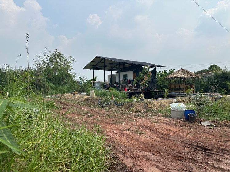 บ้าน หลังเล็กและที่ดิน 100 ตรว.