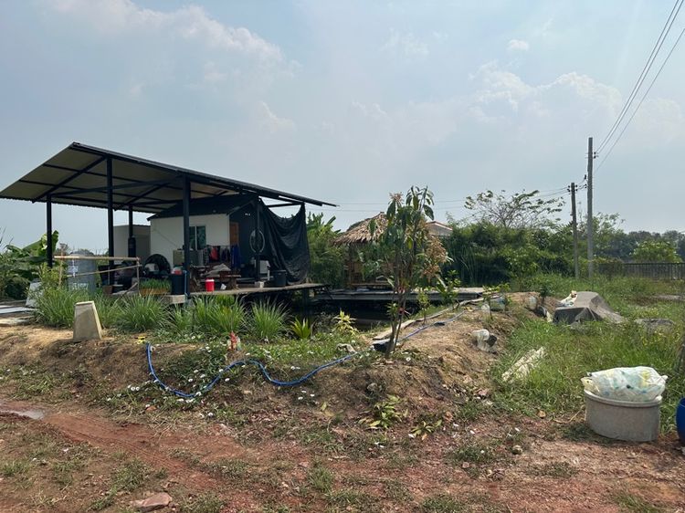 บ้าน หลังเล็กและที่ดิน 100 ตรว. รูปที่ 2