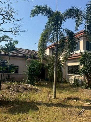 ขายบ้านเดี่ยวหมู่บ้าน สัมมากร รามคำแหง 110-112 รูปที่ 3