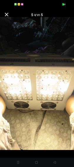 ไฟปลูกพืช ยุโรป ซื้อเกือบ30000 รูปที่ 5