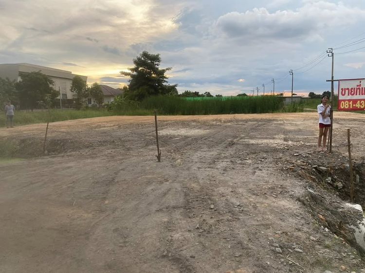 ขายและปล่อยเช่าที่เปล่าติดถนน  รูปที่ 4