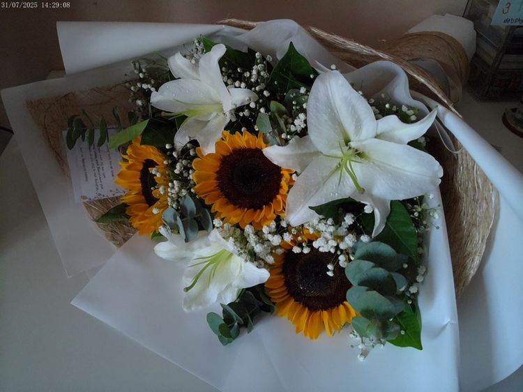 กล้อง KITBEEZ KP-2 📸 รูปที่ 12