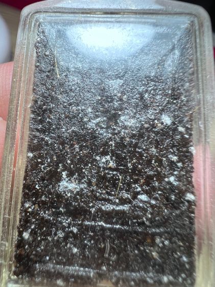 พระเนื้อว่านยาหลวงปู่หลุยวัดราชโยธา รูปที่ 2