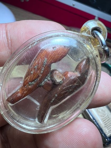 นกสาริกาเก่าพร้อมเลี่ยมกันน้ำ