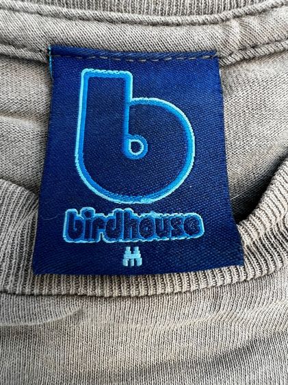 Birdhouse Falcon Egg รูปที่ 5