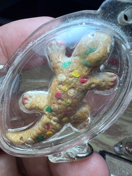 ตุ๊กแกหลวงพ่อหล่ำ วัดสามัคคีธรรม  รูปที่ 2