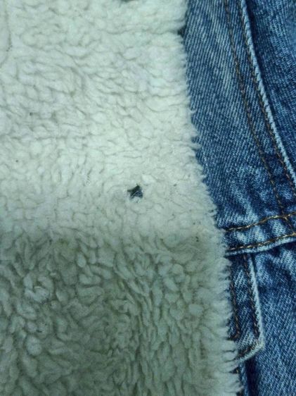 เสื้อ Levi's รูปที่ 11