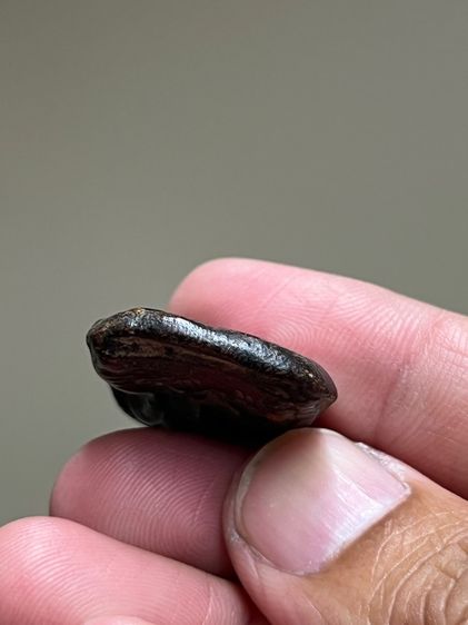 พระเนื้อดิน รูปที่ 5