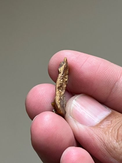 แม่นางกวัก รูปที่ 3