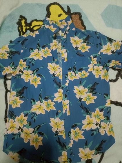 เสื้อฮาวาย รูปที่ 2