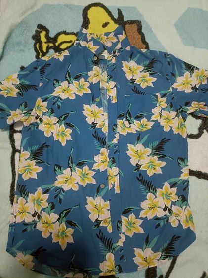 เสื้อฮาวาย รูปที่ 3