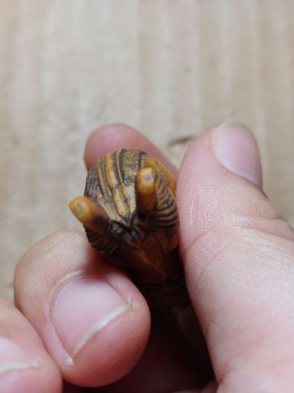 เครื่องรางม้าหมากรุกหลวงพ่อเงินวัดบางคลานชิ้นใหญ่ รูปที่ 4