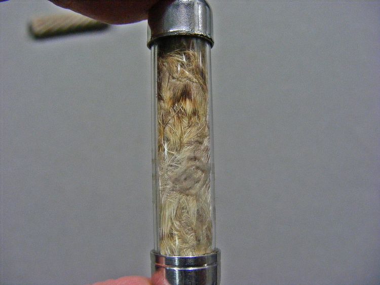 ของทนสิทธิ์ ตะกรุดมหาอำนาจ มหาบารมี 