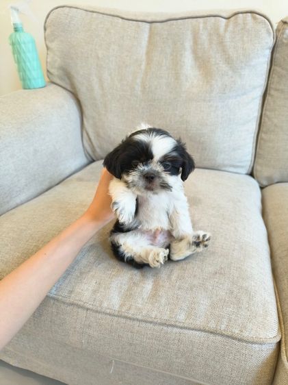 เหลือหญิง1 ชาย3✅ รูปที่ 4