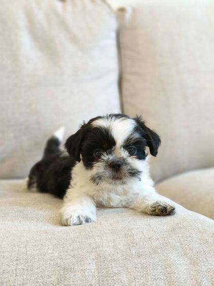 เหลือหญิง1 ชาย3✅ รูปที่ 2