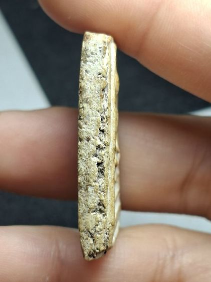 พระสมเด็จวัดระฆังพิมพ์ใหญ่ รูปที่ 4