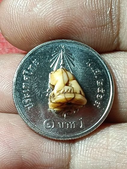 ให้เช่า รูปที่ 6