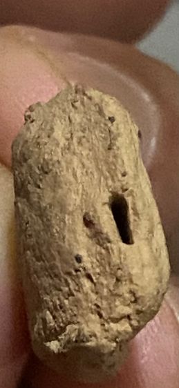 พระวัดตะไกร หน้าครุฑ รูปที่ 5