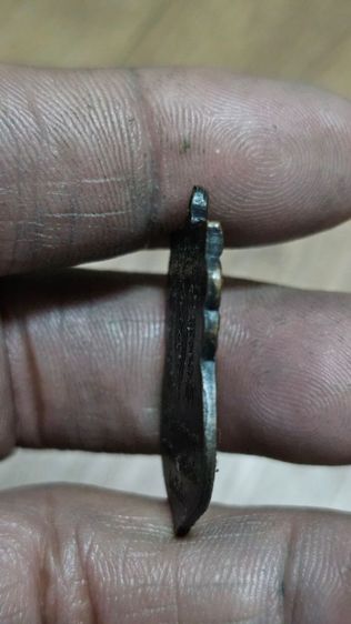 เหรียญหลวงปู่เผือกวัดกิ่งแก้วปี2502 รูปที่ 8